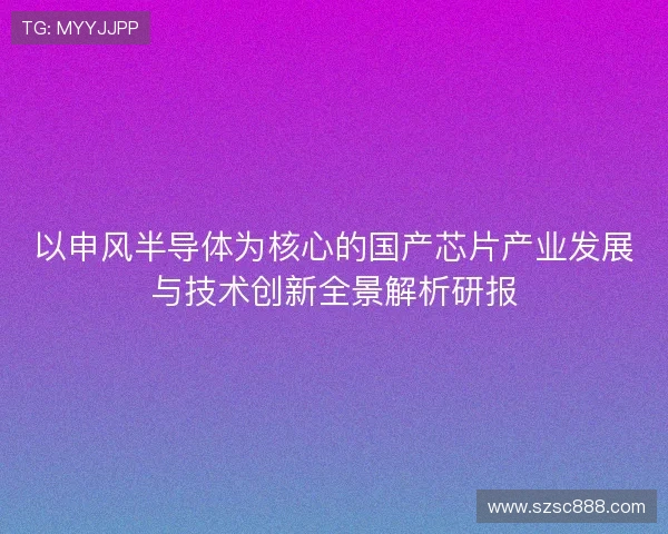 以申风半导体为核心的国产芯片产业发展与技术创新全景解析研报 以申风半导体为核心的国产芯片产业发展与技术创新全景解析研报